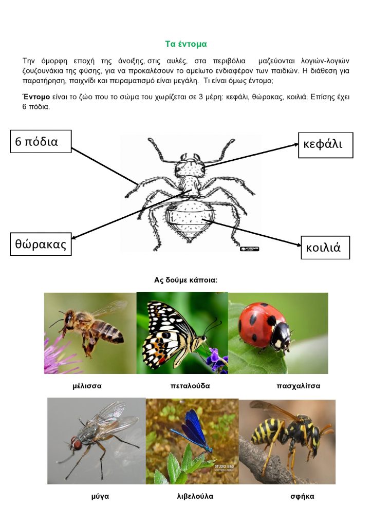 Τα έντομα-page0001
