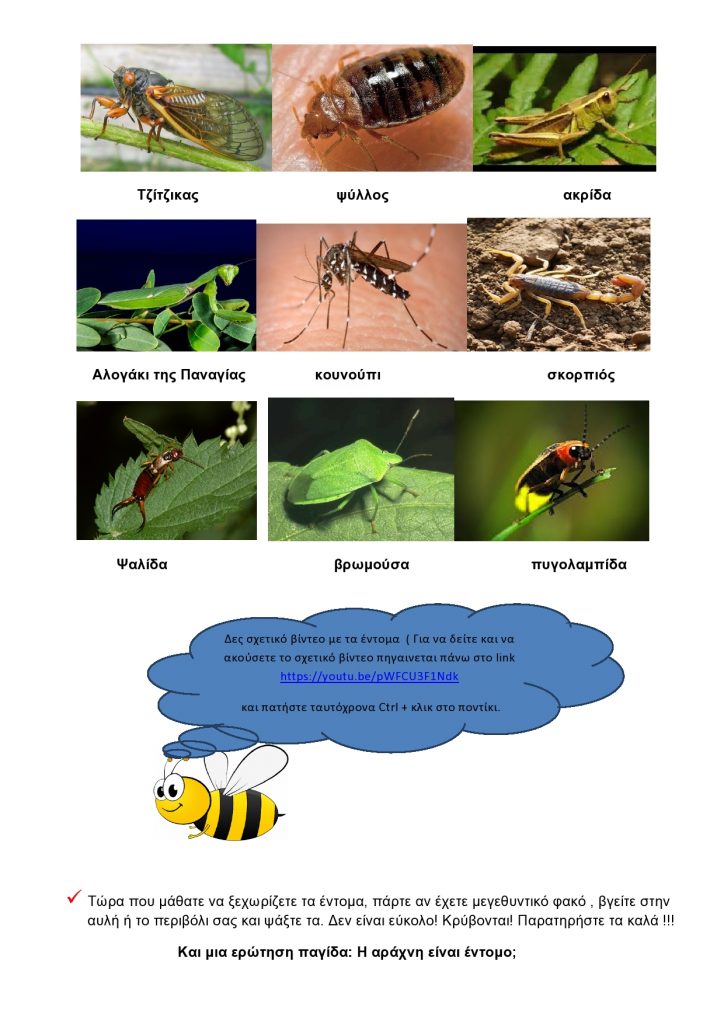 Τα έντομα-page0002